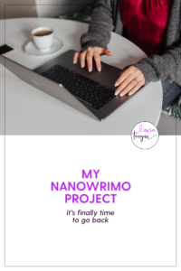 My NaNoWriMo Project