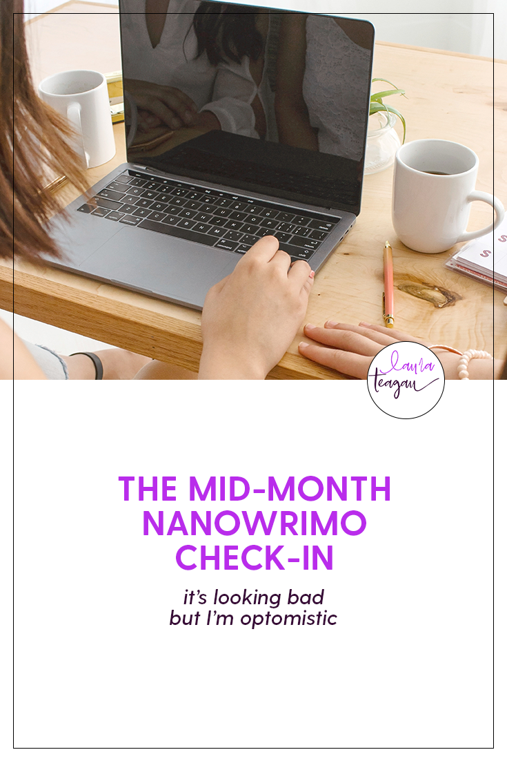 The Mid-Month NaNoWriMo Check-In